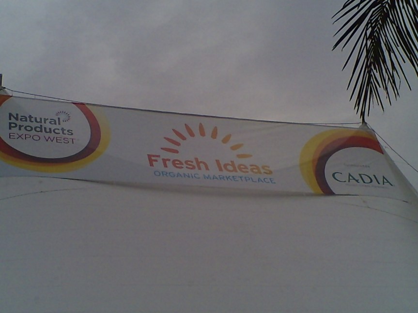 P000-337-256-316-46086