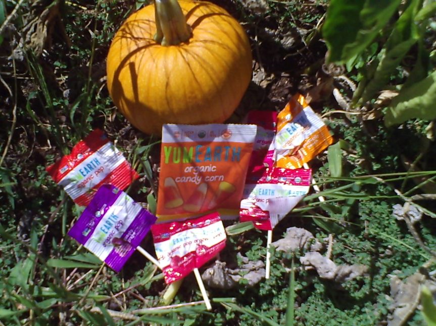 P000-300-256-384-45082